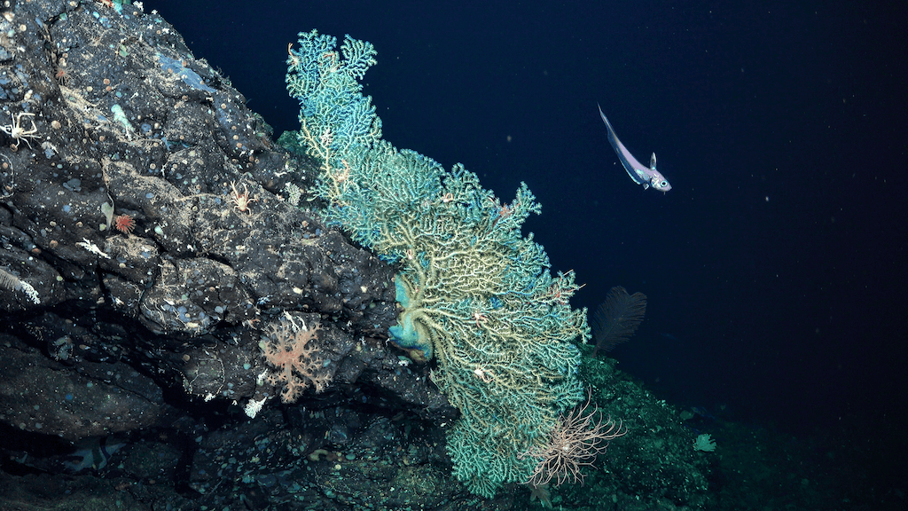 Research image 1